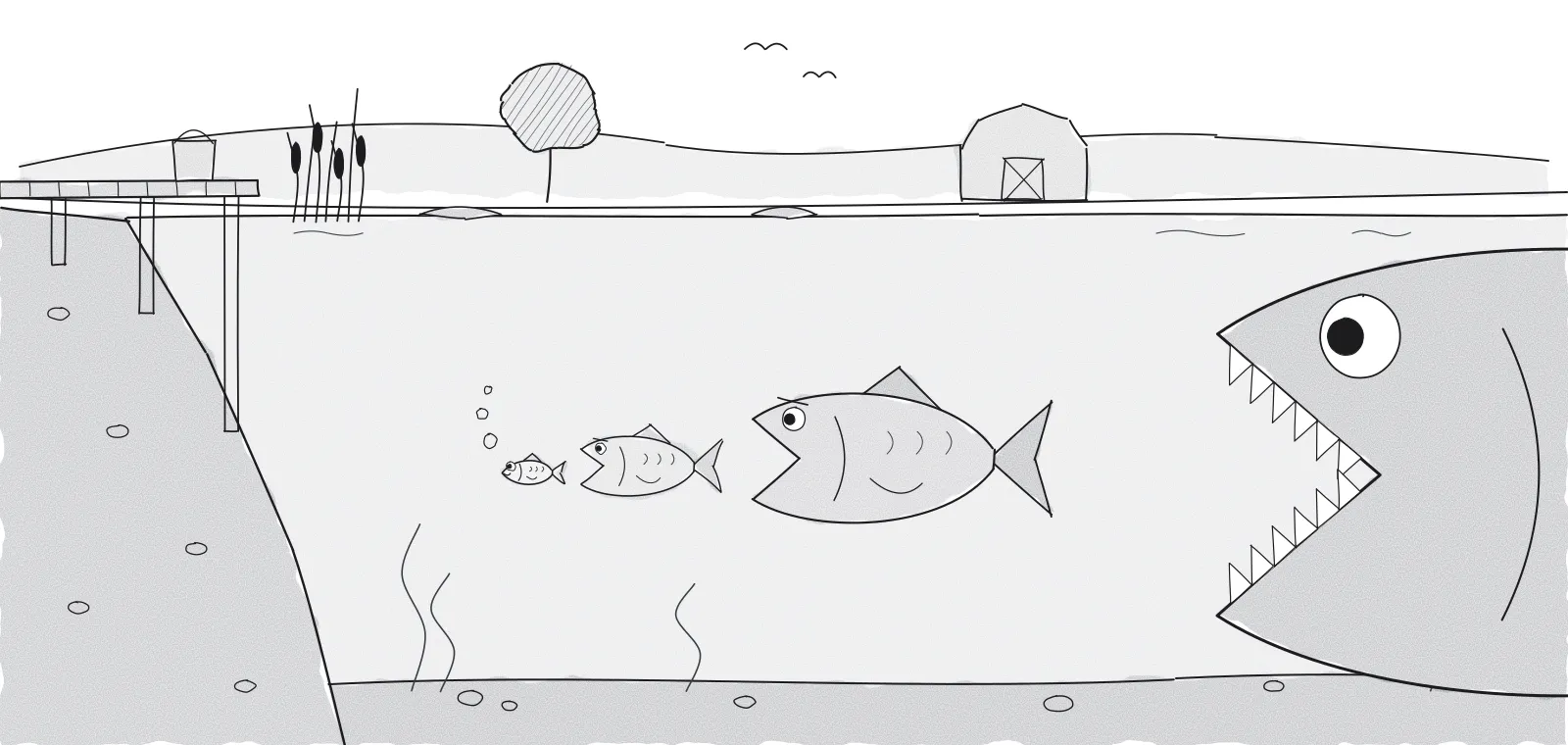 Ink cartoon of a farm pond in cross-section: a small fish chased by bigger ones, each with its mouth open, and a giant toothy jaw entering from the edge.