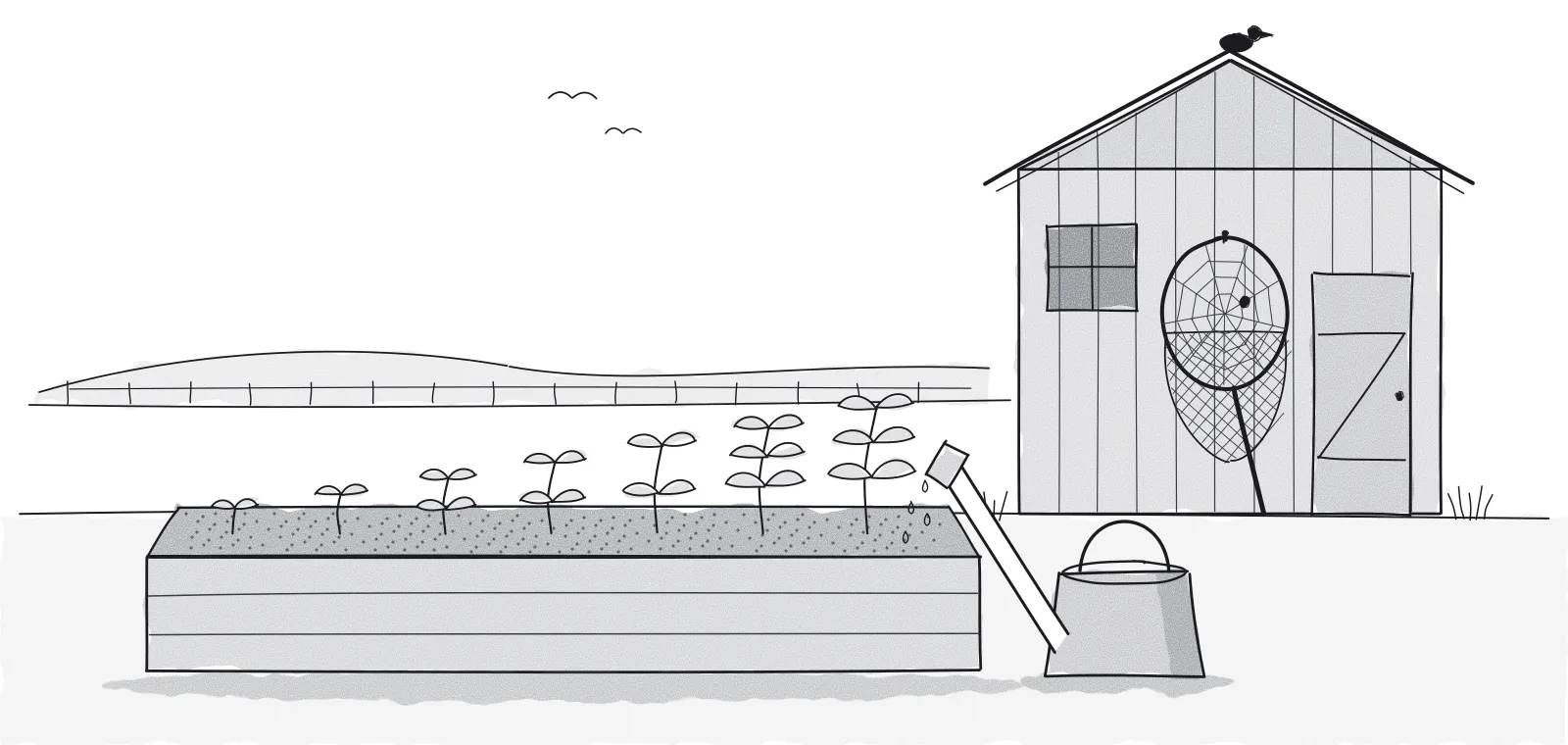 Ink cartoon of a garden shed with an old catching net hanging on the wall, a cobweb across its hoop, next to a raised bed of seedlings and a watering can.