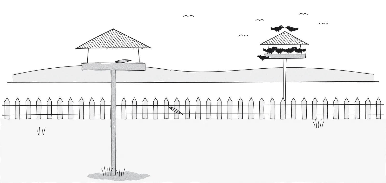 Ink cartoon of an empty bird feeder on a pole in the foreground with one feather on its tray, while beyond the fence the neighbour's feeder is crowded with birds.